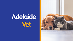 AdelaideVet logo